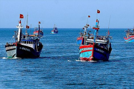 Đẩy mạnh triển khai hệ thống truy xuất nguồn gốc thủy sản điện tử