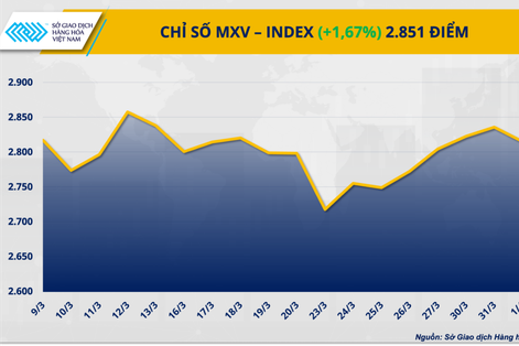 Bạc và dầu dẫn dắt đà tăng của thị trường hàng hóa