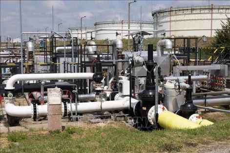 Thêm bê bối tham nhũng làm rúng động ngành năng lượng Ukraine