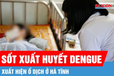 Hà Tĩnh xuất hiện ổ dịch sốt xuất huyết Dengue