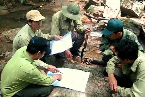 Lâm Đồng: Yêu cầu kiểm tra, cập nhật đúng thực tế việc giảm hơn 17.700ha rừng 