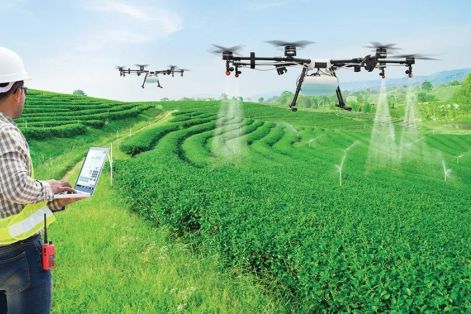 Cảnh báo rủi ro khi sử dụng drone phun thuốc bảo vệ thực vật