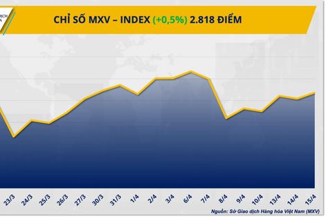 MXV-Index đảo chiều tăng khi dòng tiền trở lại thị trường