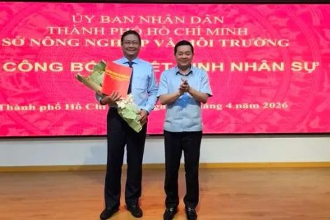 TPHCM kiện toàn nhân sự hệ thống văn phòng đăng ký đất đai 