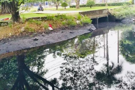 Tăng cường xử lý ô nhiễm kênh 19-5, duy tu 4 lần mỗi tháng