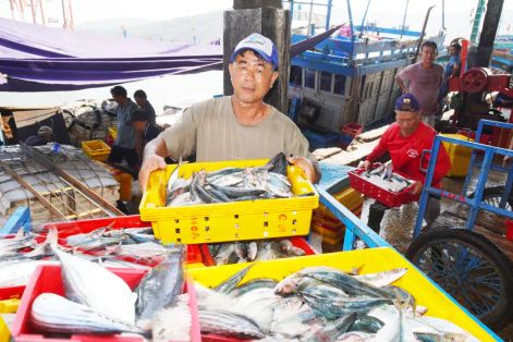 Ngư dân miền Trung bắt nhịp với công nghệ số