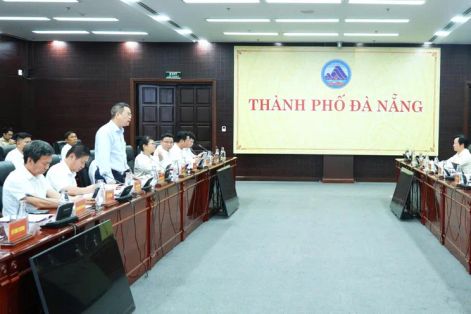 Xây dựng thương hiệu Sâm Ngọc Linh mang xuất xứ Đà Nẵng