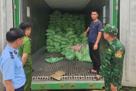 Kiểm tra 3 kho, thu giữ 25,8 tấn thực phẩm đông lạnh không rõ nguồn gốc 