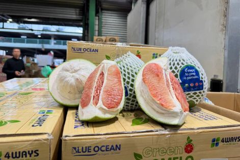 Lô bưởi đầu tiên của Việt Nam đã có mặt tại Australia