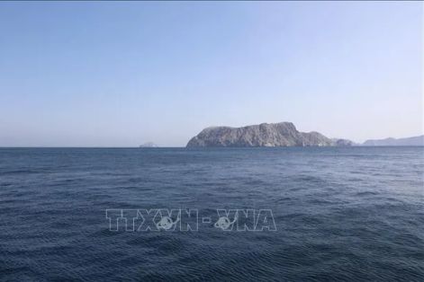 Lầu Năm Góc: Mất 6 tháng để rà phá thủy lôi ở Hormuz