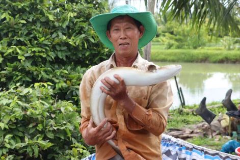 'Vua' cá chình miền Tây Nguyễn Hữu Ánh