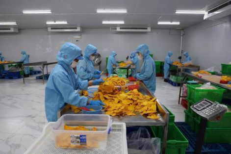 727.000 lao động tại khu chế xuất, khu công nghiệp TPHCM có nhu cầu về chỗ ở
