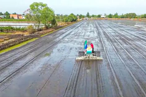 Kết nối chuỗi cung ứng phân bón cho Đề án 1 triệu ha lúa chất lượng cao