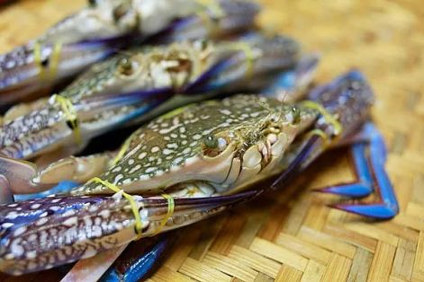 Ghẹ Việt "thông đường" qua Mỹ 