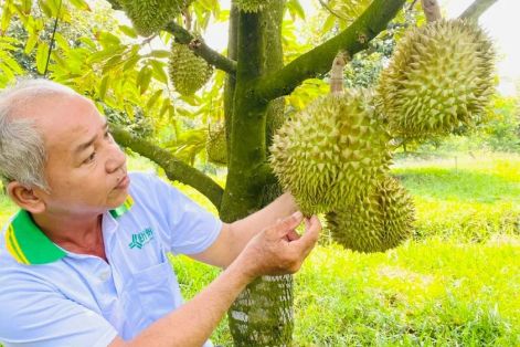 Tăng tốc giảm phát thải với 3 mặt hàng lúa, cà phê, sầu riêng