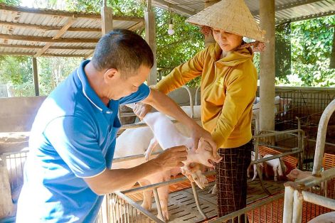 Giám sát hơn 1.000 mẫu xét nghiệm để phát hiện sớm virus SAT1