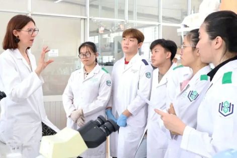 Thu hút nhân tài bằng chính sách linh hoạt, minh bạch 