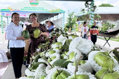 Đồng Tháp khai mạc Lễ hội trái cây lần thứ I năm 2026