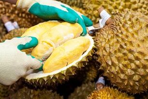 Xuất khẩu sầu riêng giảm 80% trong nửa đầu tháng 2