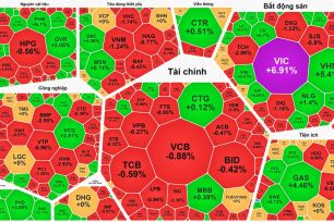  VN-Index thiết lập đỉnh mới dù thị trường “xanh vỏ đỏ lòng”