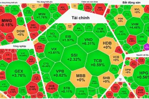 Cổ phiếu chứng khoán tăng mạnh, VN-Index lại lập đỉnh mới
