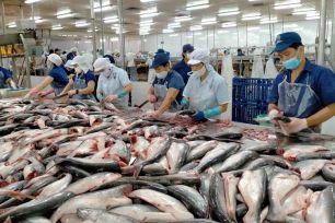 Hoa Kỳ giữ thuế chống bán phá giá bằng 0 đối với cá tra - basa Việt Nam