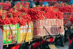 Giá vải thiều Bắc Giang giảm sâu, chỉ còn 3.000 đồng/kg