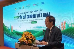 Việt Nam có nhiều tiềm năng tạo tín chỉ carbon
