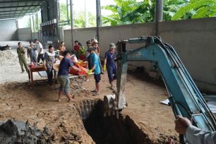Cá heo chết trên sông Ông Đốc (Cà Mau)