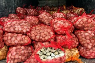 Phát hiện hơn 16 tấn hải sản không rõ nguồn gốc