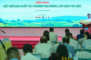 Tây Bắc: Hoa trái không thiếu, nhưng yếu xuất khẩu