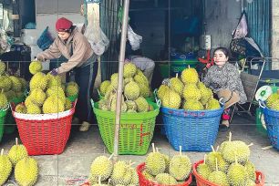 Nhiều loại trái cây... đại hạ giá