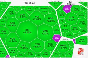 Lập đỉnh phiên thứ 4 liên tục, VN-Index vọt hơn 1.431 điểm