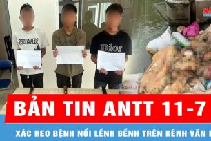 Bản tin ANTT 11-7: Xác heo bệnh nổi lềnh bềnh trên kênh; Khởi tố 14 đối tượng cướp tài sản, gây rối trật tự