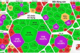 “Cổ phiếu vua” dậy sóng, VN-Index lập đỉnh cao mới