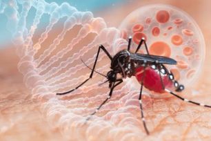 Căn bệnh Chikungunya có đáng ngại? 