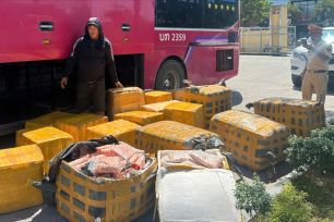 Phát hiện xe khách chở gần một tấn sụn chân gà hôi thối không rõ nguồn gốc 