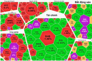 “Cổ phiếu vua” tăng mạnh, VN-Index lập đỉnh mới