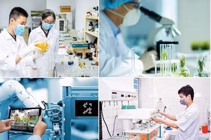 Những ch&#237;nh s&#225;ch nổi bật c&#243; hiệu lực từ th&#225;ng 10