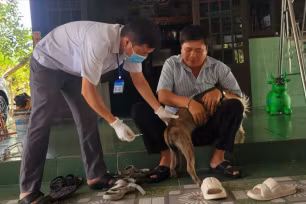TPHCM: Nhiều giải pháp phòng chống bệnh dại chó, mèo