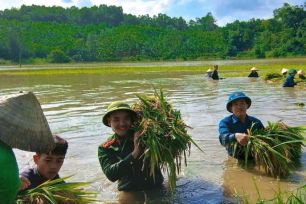 14 tỉnh, thành được yêu cầu khẩn trương ứng phó bão Matmo