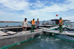 Bão số 11 áp sát đặc khu Cô Tô, còn 11 khách nước ngoài trên đảo