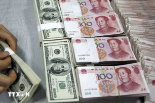 Tỷ gi&#225; trung t&#226;m giữ nguy&#234;n, USD v&#224; Nh&#226;n d&#226;n tệ c&#249;ng tăng nhẹ
