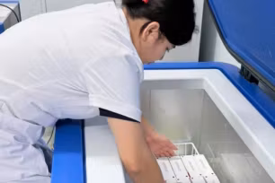 WHO hỗ trợ Phú Thọ và Tuyên Quang 9.000 liều vaccine phòng dại