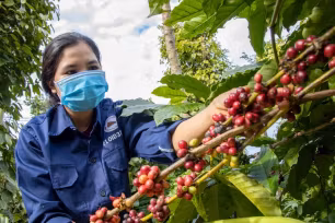 Cơ chế 'thu trước - hoàn sau' khiến doanh nghiệp nông, lâm, thủy sản chôn vốn 'chết'