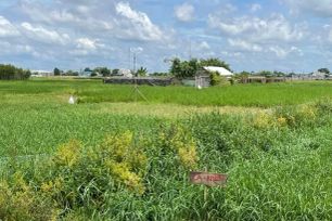 Quy định mới về tiền sử dụng đất đối với hộ gia đình