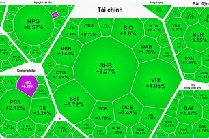 VN-Index tăng gần 14 điểm sau ba phiên giảm sâu