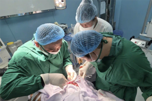 Hội chẩn trực tuyến, kịp thời cứu sống ngư dân bị đa chấn thương tại Côn Đảo