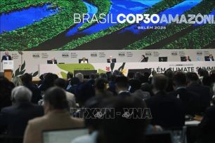 Hơn 80 quốc gia ủng hộ ngừng sử dụng nhiên liệu hóa thạch