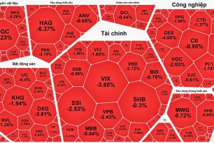VN-Index quay đầu giảm sau 5 phiên tăng